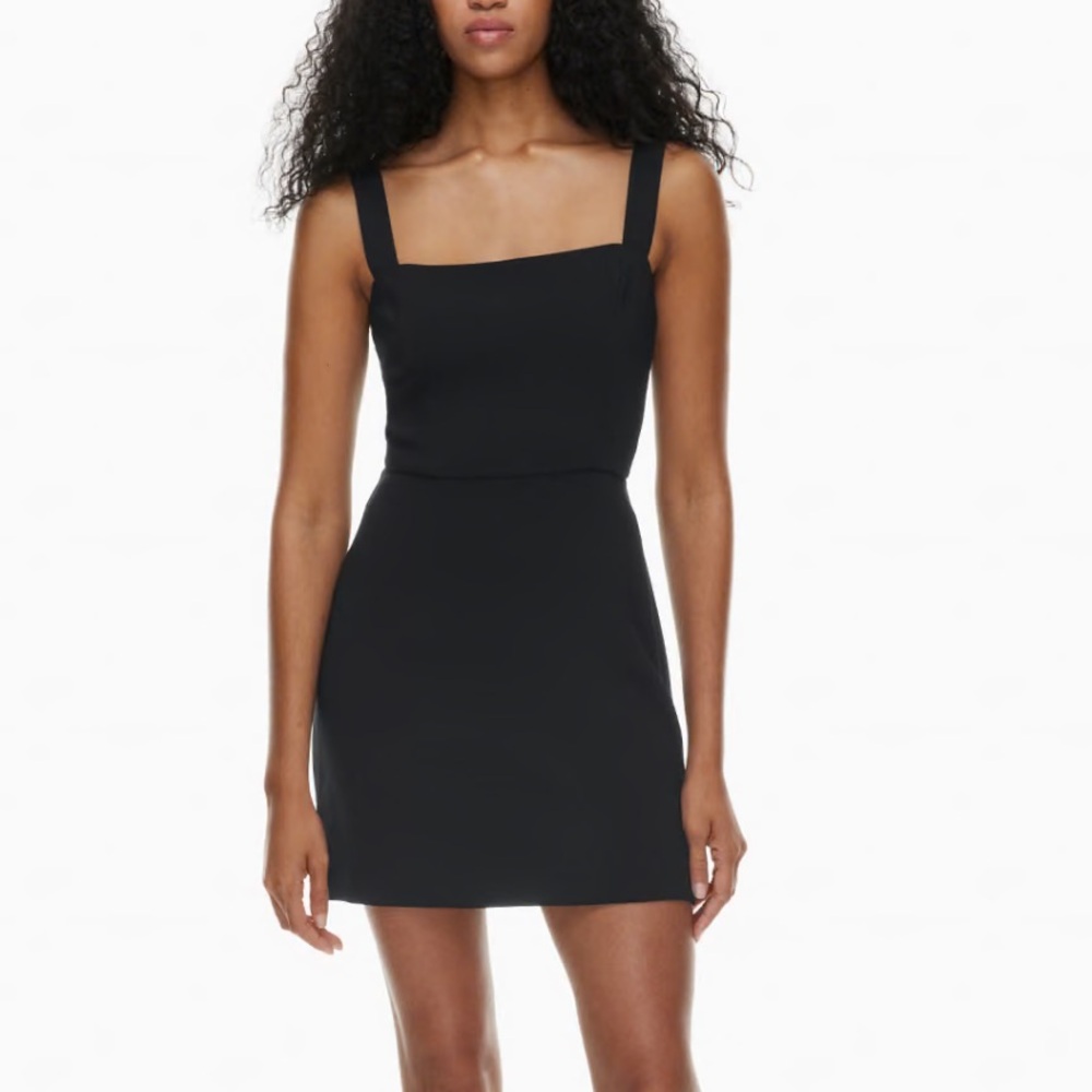 Aritzia Wilfred Mini Dress